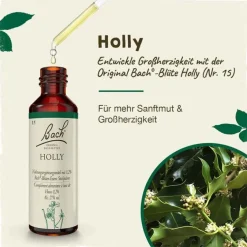 Discount Original Bachblüten Bachblüten Nr. 15 Holly Tropfen, 20 ml