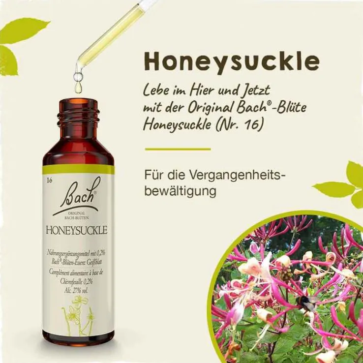 Bachblüten Nr. 16 Honeysuckle Tropfen, 20 ml