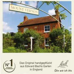 Bachblüten Nr. 16 Honeysuckle Tropfen, 20 ml