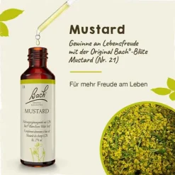 Hot Bachblüten Nr. 21 Mustard Tropfen, 20 ml Bachblütentropfen