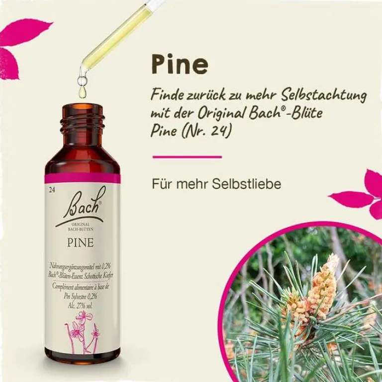 Hot Original Bachblüten Bachblüten Nr. 24 Pine Tropfen, 20 ml