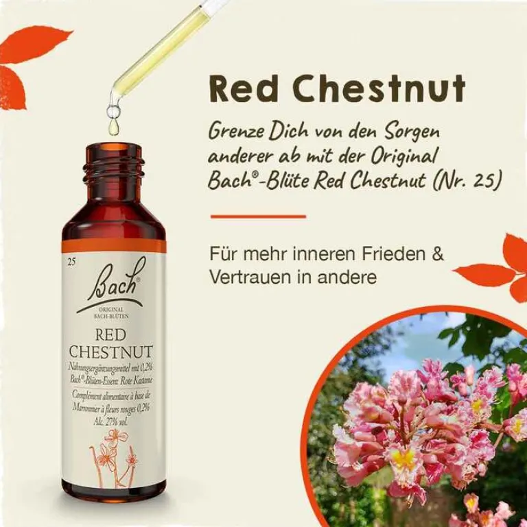 Discount Original Bachblüten Bachblüten Nr. 25 Red Chestnut Tropfen, 20 ml