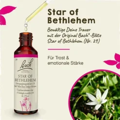 Best Bachblüten Nr. 29 Star of Bethlehem Tropfen, 20 ml Bachblütentropfen