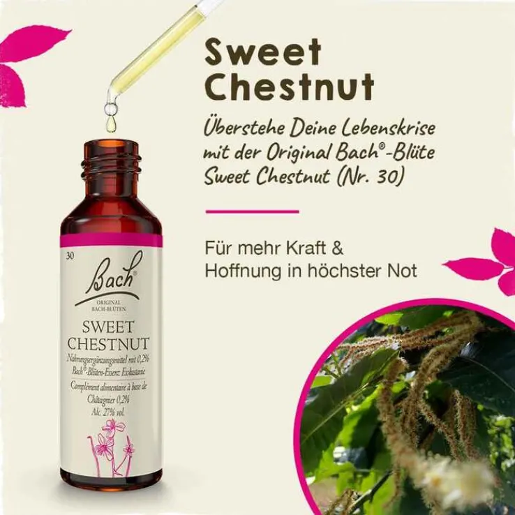 Bachblüten Nr. 30 Sweet Chestnut Tropfen, 20 ml