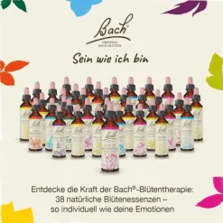 Bachblüten Nr. 31 Vervain Tropfen, 20 ml