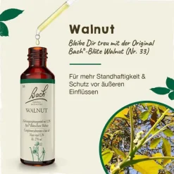 Hot Original Bachblüten Bachblüten Nr. 33 Walnut Tropfen, 20 ml