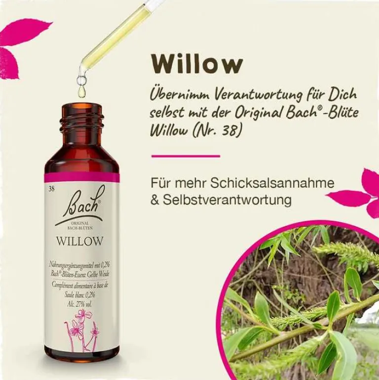 New Bachblüten Nr. 38 Willow Tropfen, 20 ml Bachblütentropfen