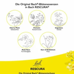 Hot Bachblüten Original Kids Tropfen alkoholfrei, 10 ml Kinder Bachblüten Für Kinder