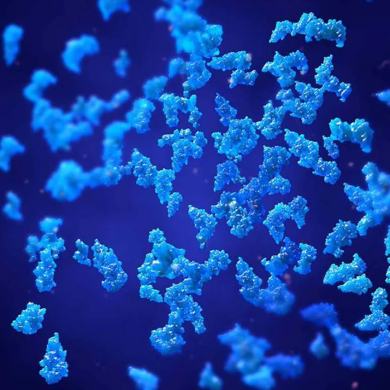 New Bacillus subtilis plus Dr. Jacob`s Kapseln, 60 St Enzyme