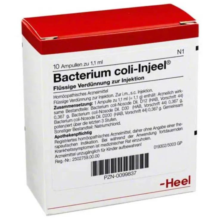 Bacterium coli Injeel Ampullen, 10 St