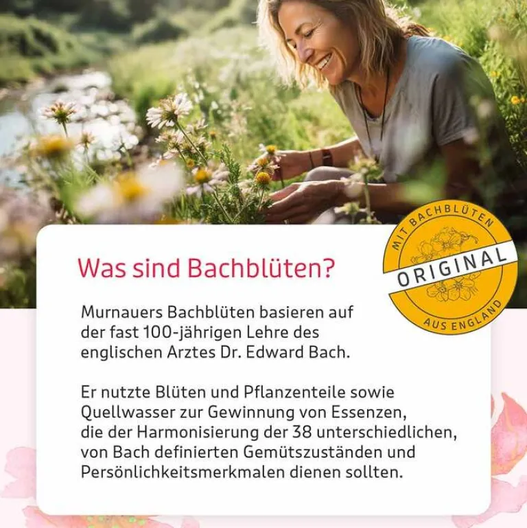 New BB Gute Energie Tropfen, 20 ml Bachblütentropfen