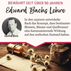 New BB Gute Energie Tropfen, 20 ml Bachblütentropfen