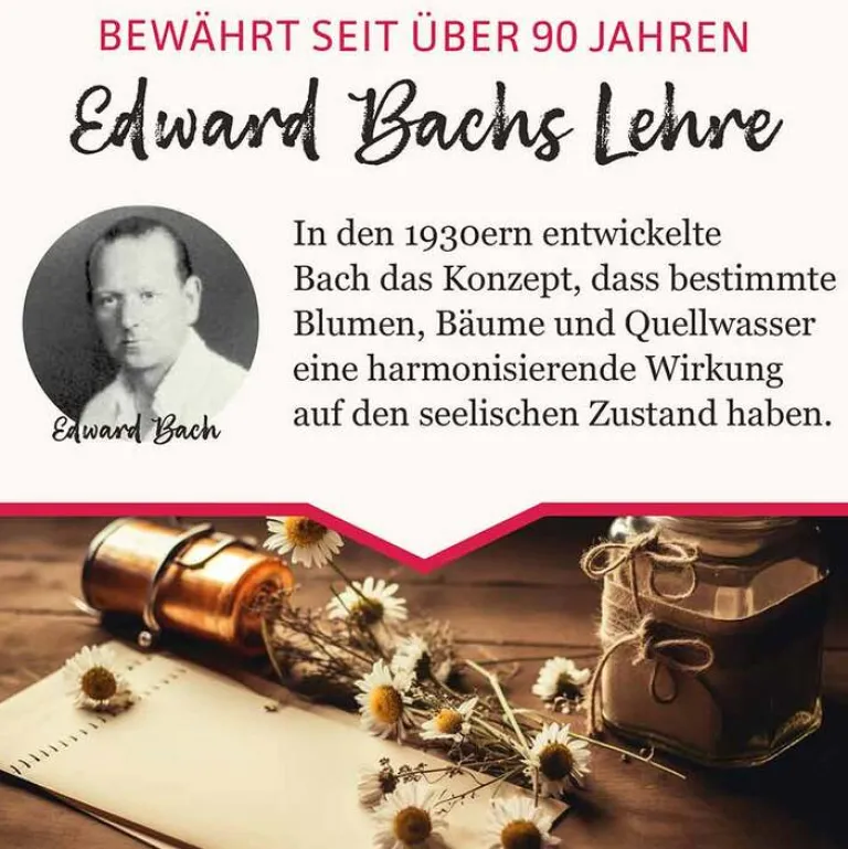 New BB Gute Energie Tropfen, 20 ml Bachblütentropfen