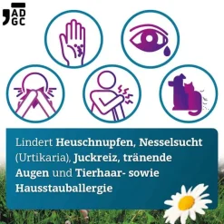 Discount Bilastin 20 mg Tabletten bei Allergie, 20 St Bilastin|Allergie Tabletten