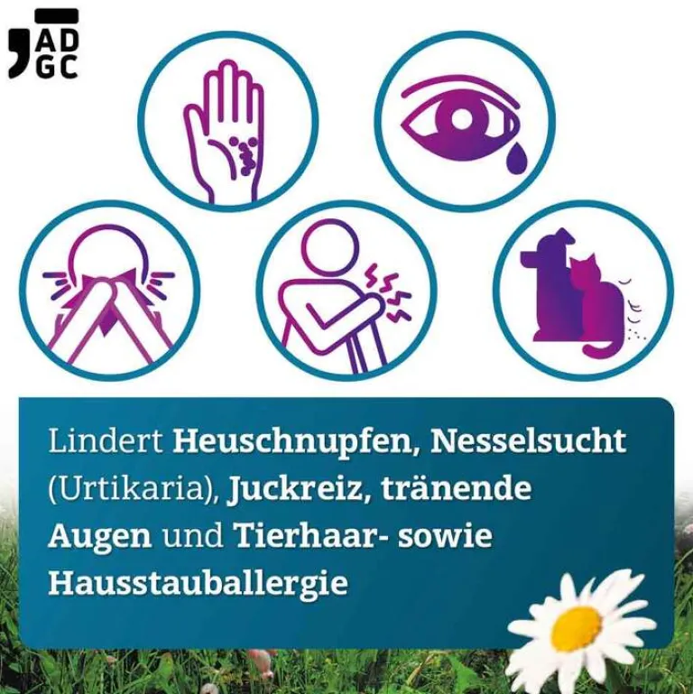 Sale Bilastin 20 mg Tabletten bei Allergie, 6 St Bilastin|Allergie Tabletten