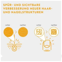 Hot ® Vitamin H 2,5 mg Tabletten, 2X84 St Vitamin B7 (Biotin)