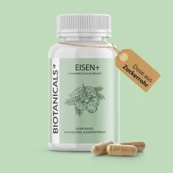 Online Eisen + Kapseln, 120 St Hirnleistung & Nerven