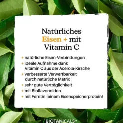 Online Eisen + Kapseln, 120 St Hirnleistung & Nerven