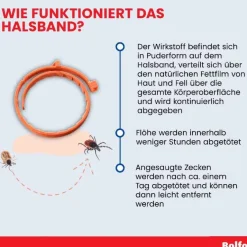 Sale ® Zecken- und Flohschutzband für Katzen und kleine Hunde, 1 St Flöhe, Zecken & Co.|Flöhe, Zecken & Co.