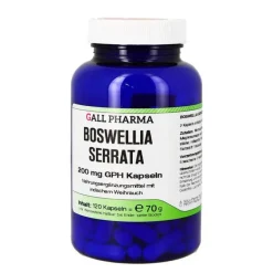 Outlet Hecht Pharma Boswellia serrata 200 mg GPH Kapseln, 120 St