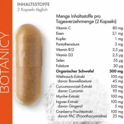 Best Botanicy Zündex forte Complex mit Optimsm Kapseln, 60 St Msm Schwefel