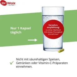 Best Dr. Wolz Brokkoliextrakt + Aktiv-Enzym magensaftresistent Kapseln , 60 St