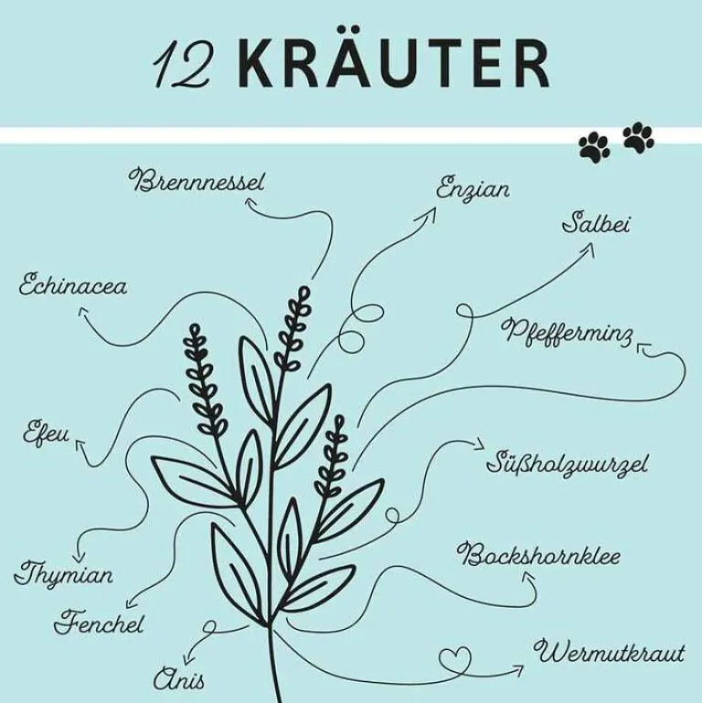 Annimally Bronchial Plus Atemwegsmischung Saft für Hunde, 100 ml