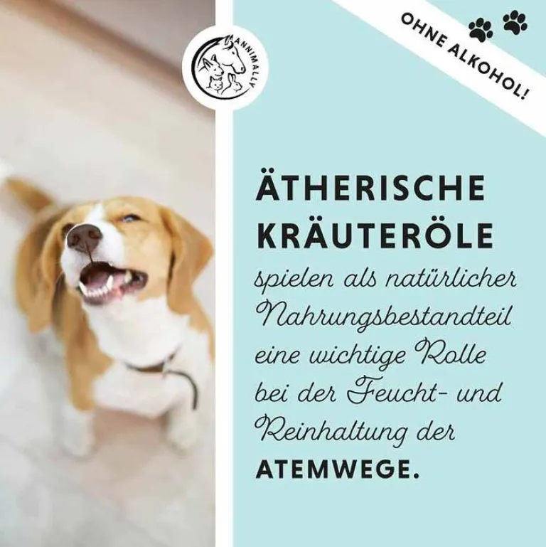 Annimally Bronchial Plus Atemwegsmischung Saft für Hunde, 100 ml
