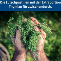 Outlet Bronchipret Thymian Pastille, 30 St