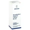 Clearance Bryophyllum Argento Cultum Rh D 3 Dilution, 20 ml Schlaf & Nerven