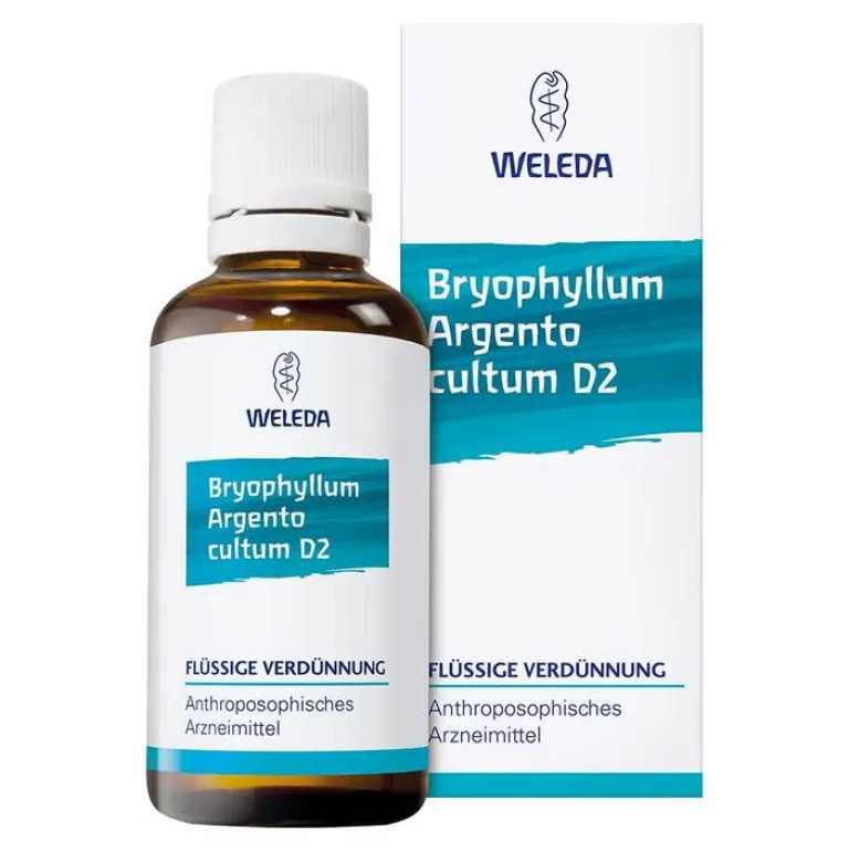 Sale Bryophyllum Argento Cultum D3, 50 ml Schlaf & Nerven