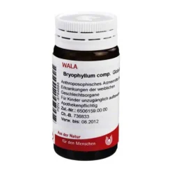 Bryophyllum comp. Globuli, 20 g