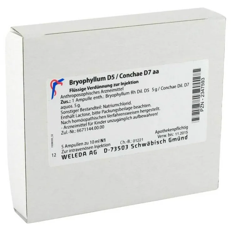 Bryophyllum D 5 / Conchae D 7 Ampullen, 5X10 ml