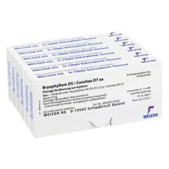 New Bryophyllum D 5 / Conchae D 7 Ampullen, 48X1 ml Schlaf & Nerven