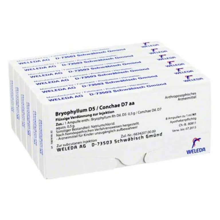 New Bryophyllum D 5 / Conchae D 7 Ampullen, 48X1 ml Schlaf & Nerven