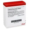 Calcium fluoratum Injeel Ampullen, 10 St