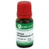 Outlet Calcium phosphoricum LM 6 Dilution, 10 ml Calcium|C