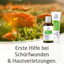 Outlet Calendula Wundsalbe bei Schürfwunden und Hautverletzungen, 25 g Kinder Verletzungen|Haut