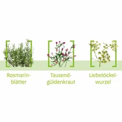 Canephron N Dragees, 200 St