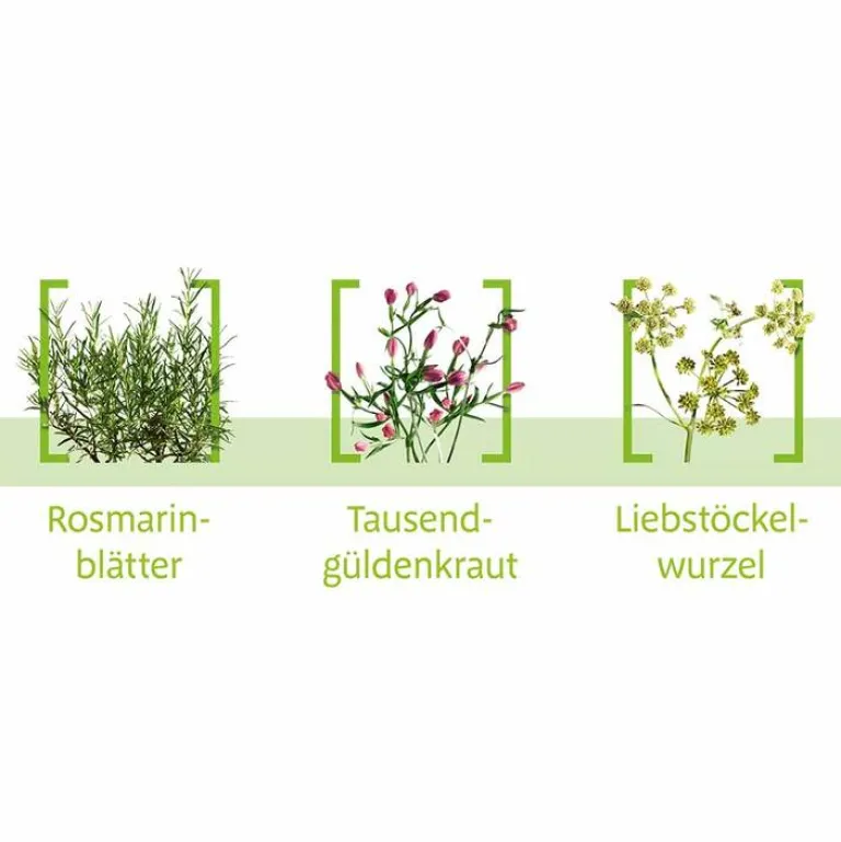 Clearance Canephron N Tropfen, 100 ml