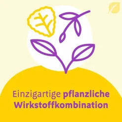 Sale Canephron Uno überzogene Tabletten, 60 St