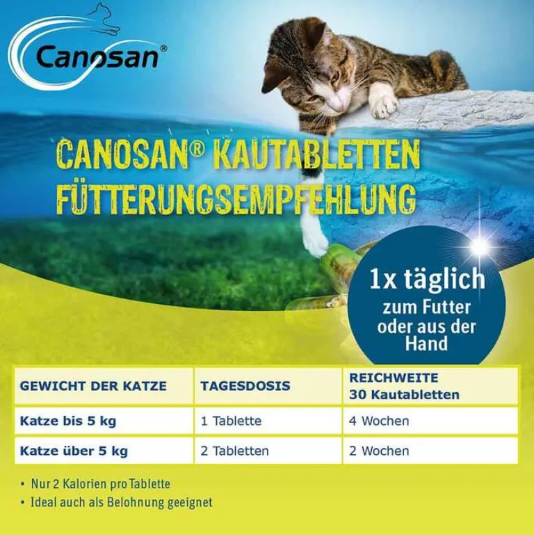 Discount Katze Kautabletten, 30 St Bewegungsapparat