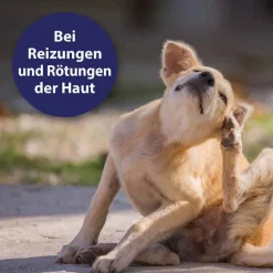 Clearance Canosept Hautpflege Spray für Hunde, 250 ml