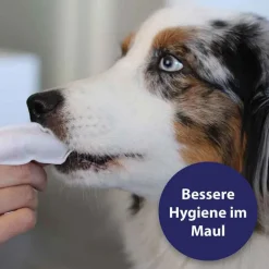 Online Canosept Zahnpflege Finger-Pads für Hunde, 50 St