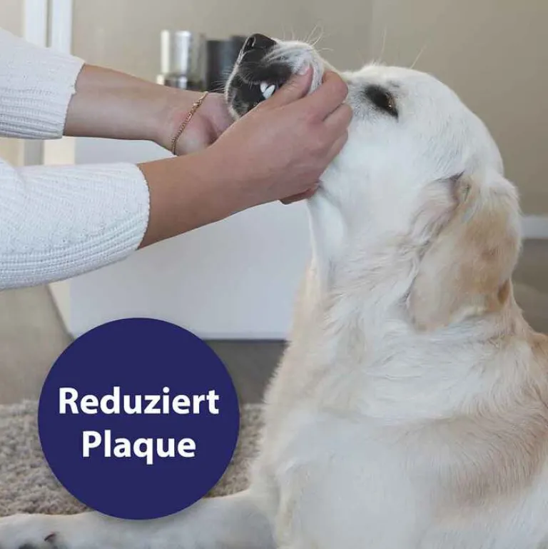 Online Canosept Zahnpflege Finger-Pads für Hunde, 50 St