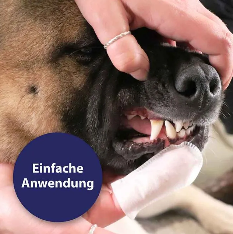Online Canosept Zahnpflege Finger-Pads für Hunde, 50 St
