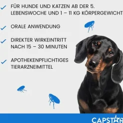 CAPSTAR™ 11,4 mg Tabletten für Katzen und kleine Hunde, 6 St