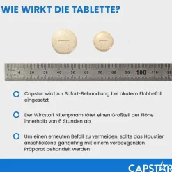CAPSTAR™ 11,4 mg Tabletten für Katzen und kleine Hunde, 6 St
