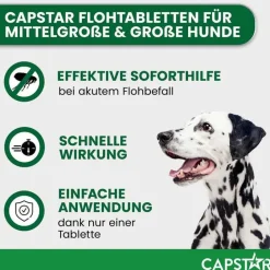 Online Capstar ™ 57 mg Tabletten für große Hunde, 6 St