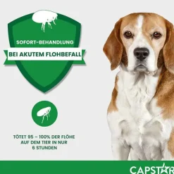 Online Capstar ™ 57 mg Tabletten für große Hunde, 6 St